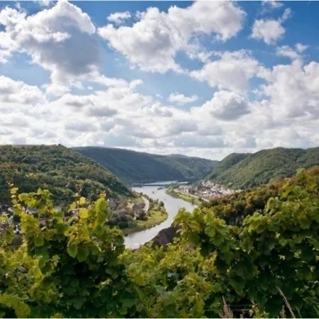 Mosel,koblenznah,gr Terrasse,fahrraeder 度假居 科伯恩-贡多夫