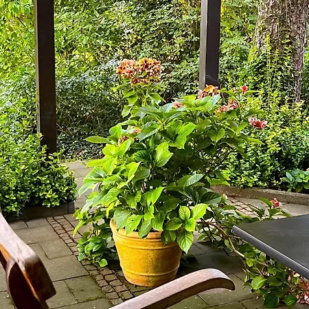 Mosel,koblenznah,gr Terrasse,fahrraeder 度假居 科伯恩-贡多夫