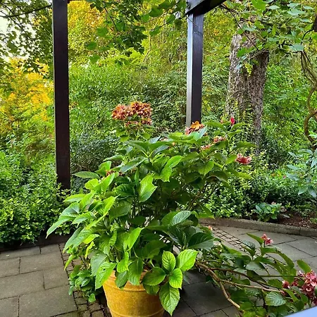 度假居 Mosel,koblenznah,gr Terrasse,fahrraeder